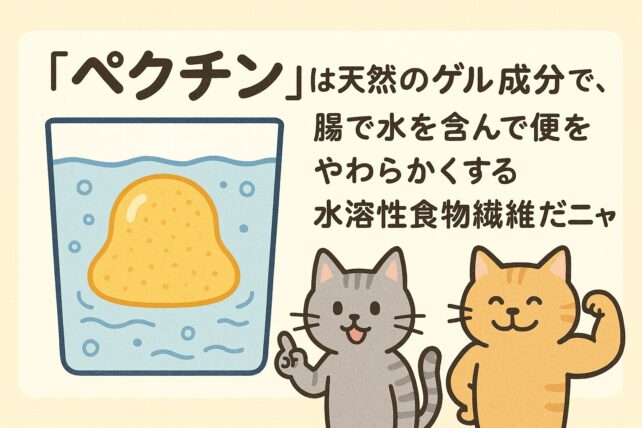「ペクチン」は“天然のゲル成分”で、腸で水を含んで便をやわらかくする水溶性食物繊維
